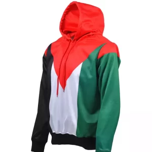Alternative view of Palestine Flag Hoodie